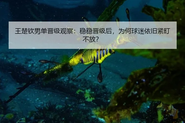 王楚钦男单晋级观察：稳稳晋级后，为何球迷依旧紧盯不放？